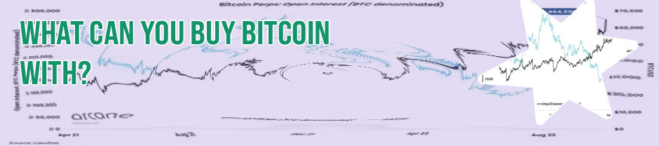 What was bitcoins opening price